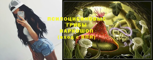 трава Вязьма